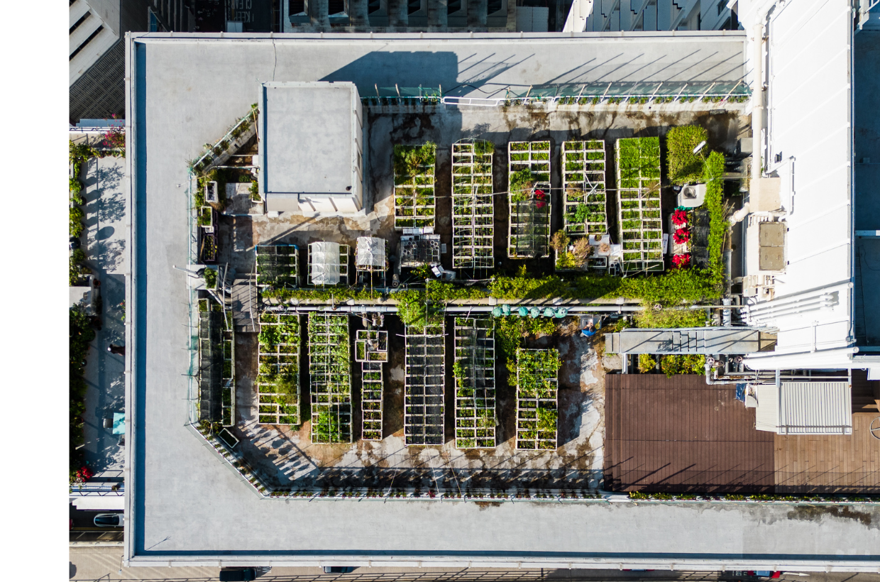 Rooftop garden The Park Lane Hong Kong